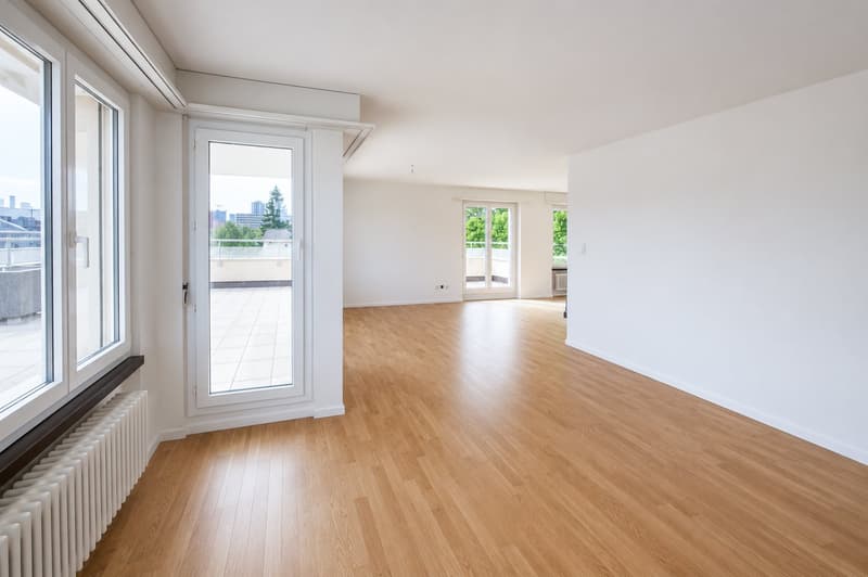 Schöne helle 4.5-Zimmer-Attikawohnung mit Terrasse (12)
