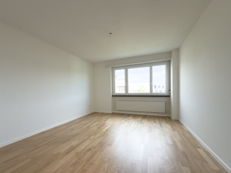 Schöne helle 4.5-Zimmer-Attikawohnung mit Terrasse (31)