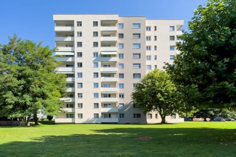 3.5 Zimmer Wohnung an ruhiger Lage (11)