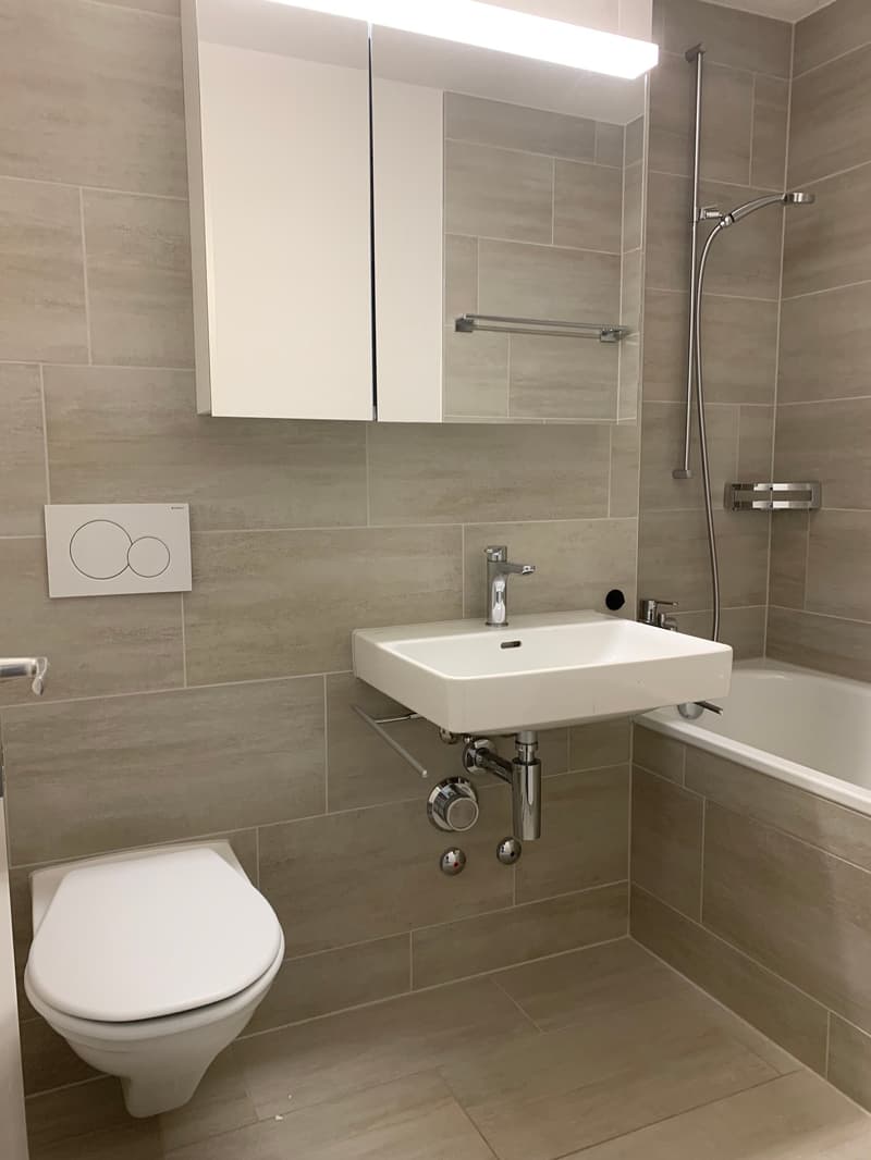 3 Zi.-Wohnung mit grosser Terrasse, stadtnah und ruhig (7)