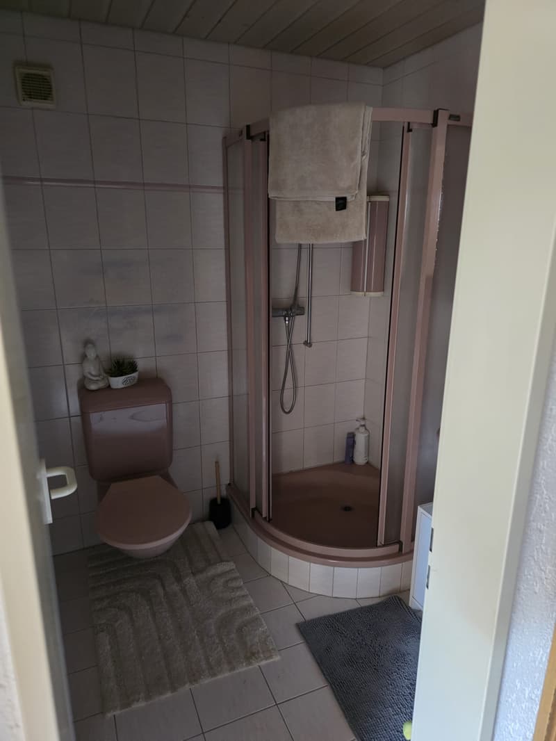 2-Zimmer-Dachwohnung (7)