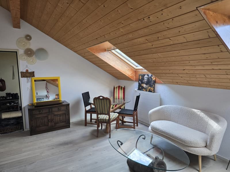 2-Zimmer-Dachwohnung (2)