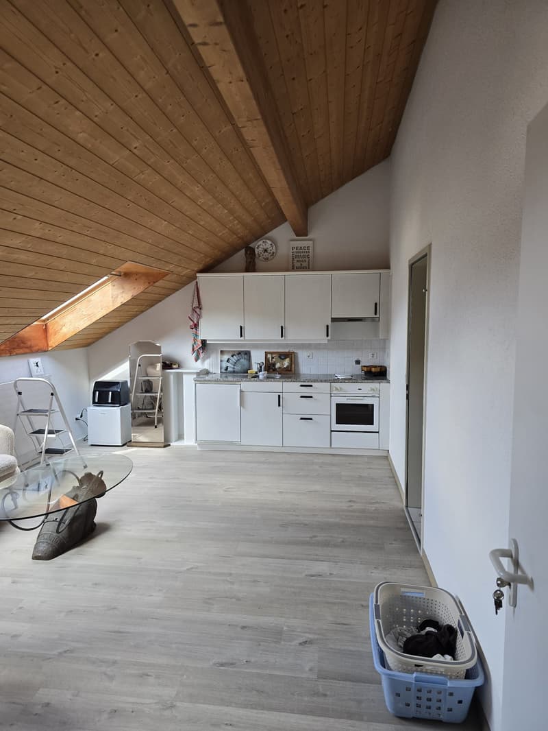 2-Zimmer-Dachwohnung (4)