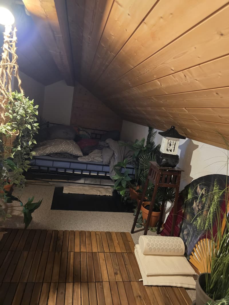 2-Zimmer-Dachwohnung (6)