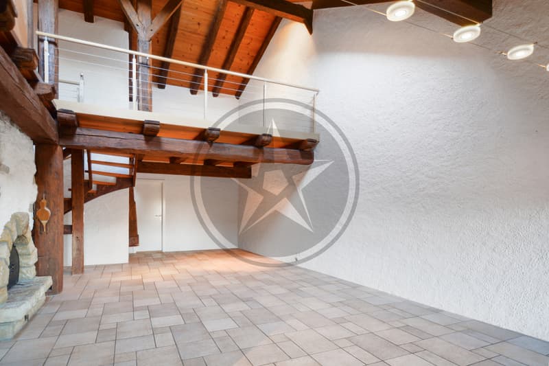 Magnifique ferme mitoyenne rénovée comprenant 2 appartements (5)