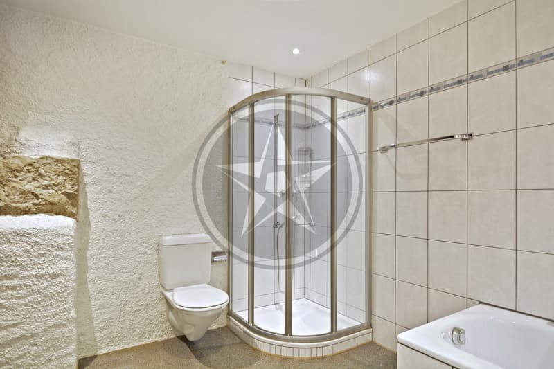 Magnifique ferme mitoyenne rénovée comprenant 2 appartements (9)