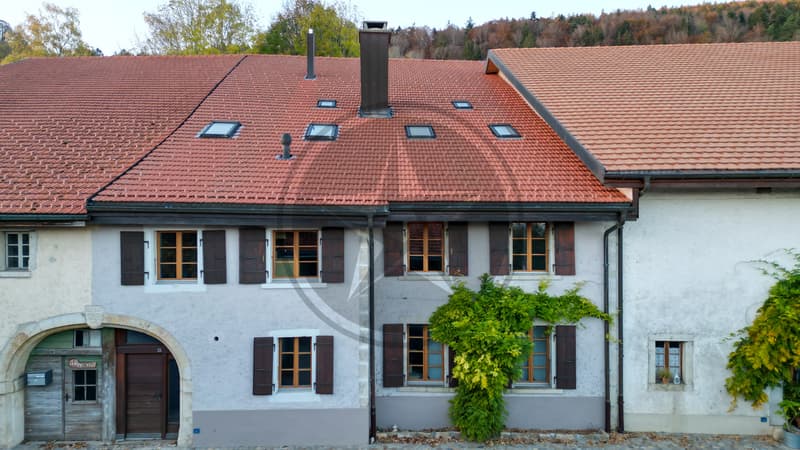 Magnifique ferme mitoyenne rénovée comprenant 2 appartements (13)