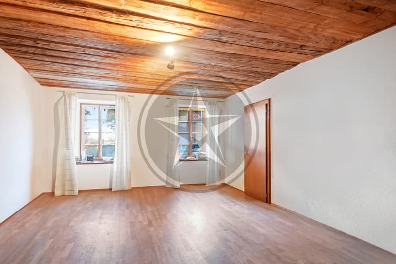 Magnifique ferme mitoyenne rénovée comprenant 2 appartements (11)