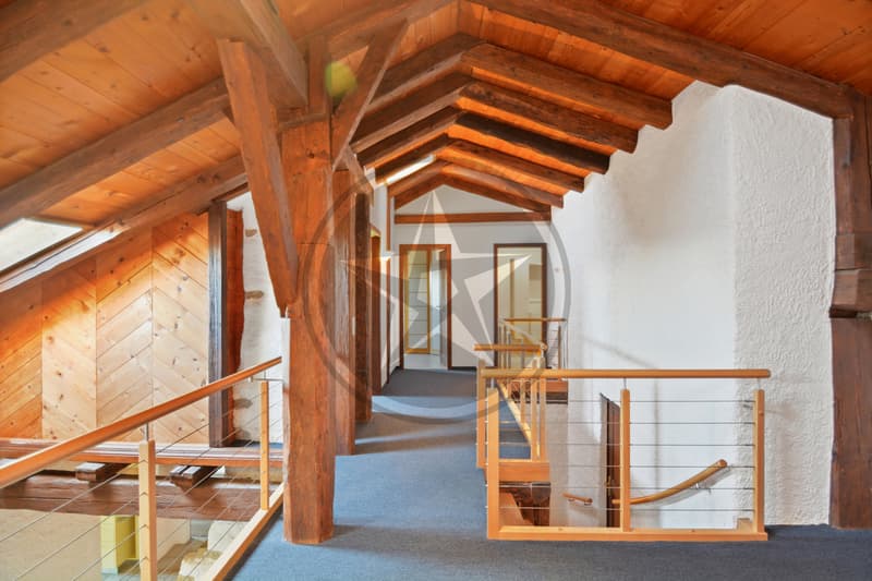 Magnifique ferme mitoyenne rénovée comprenant 2 appartements (7)