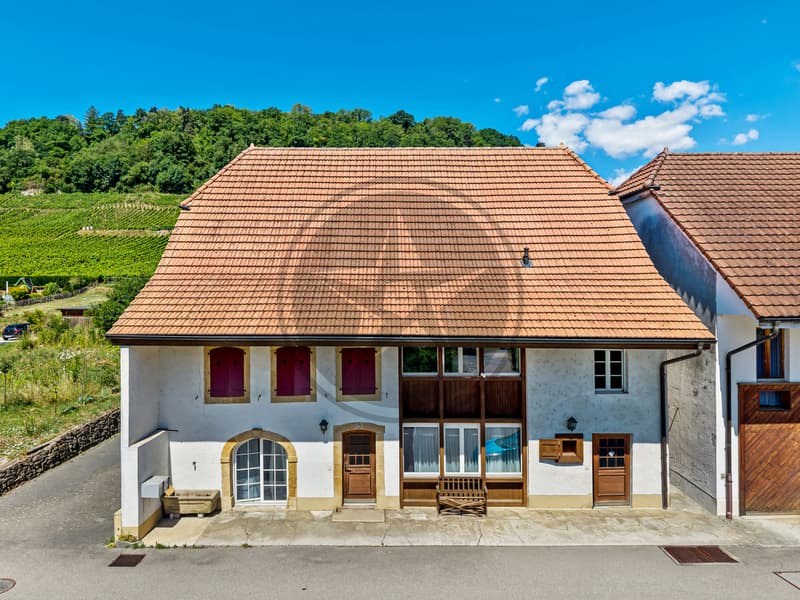 Propriété de caractère au coeur du Vully (1)
