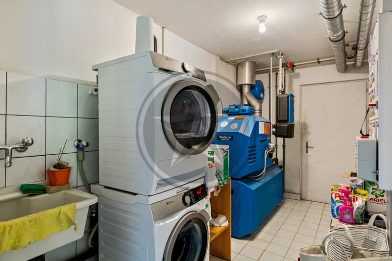 Propriété de caractère au coeur du Vully (13)