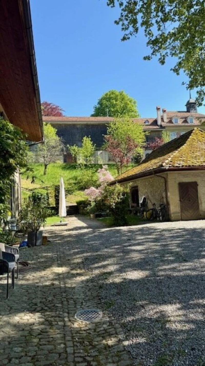3 1/2-Zimmer-Maisonette-Wohnung im Schlosspark (2)