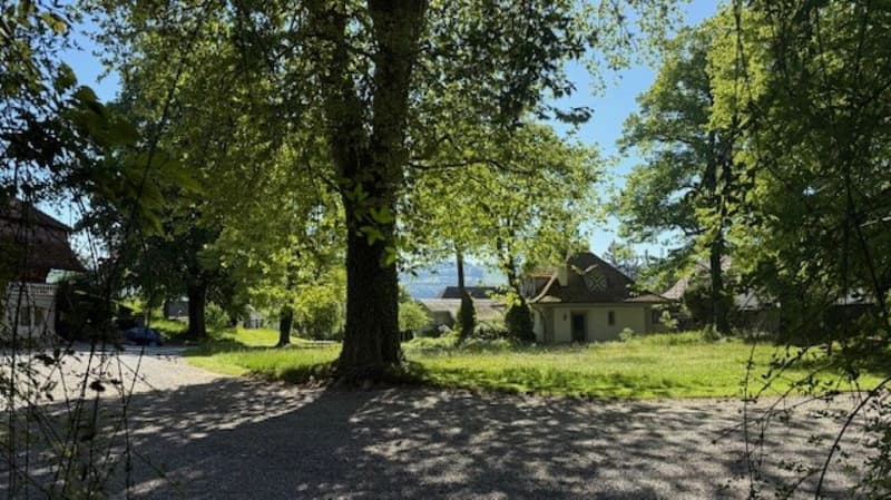 3 1/2-Zimmer-Maisonette-Wohnung im Schlosspark (15)