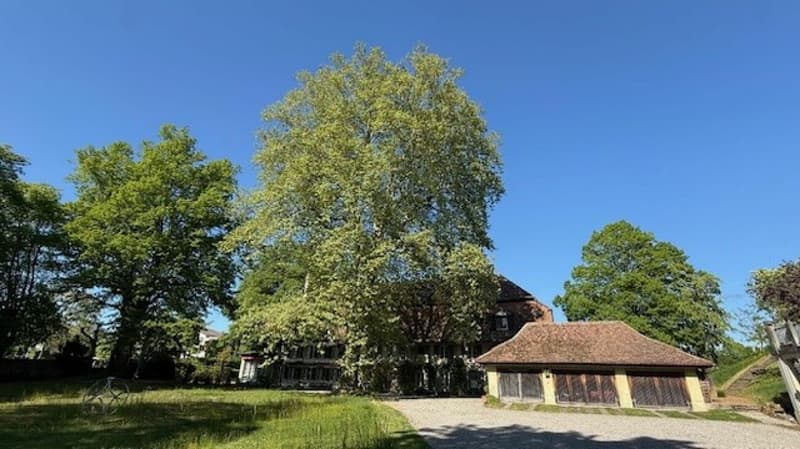 3 1/2-Zimmer-Maisonette-Wohnung im Schlosspark (13)