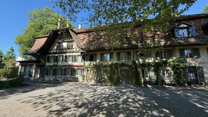 3 1/2-Zimmer-Maisonette-Wohnung im Schlosspark (2)