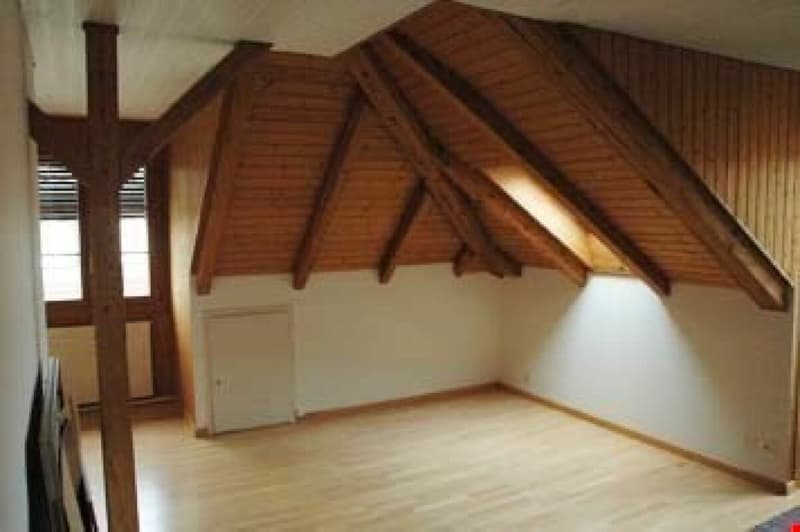 2 1/2-Zimmer-Dachwohnung mit schöner Aussicht (8)