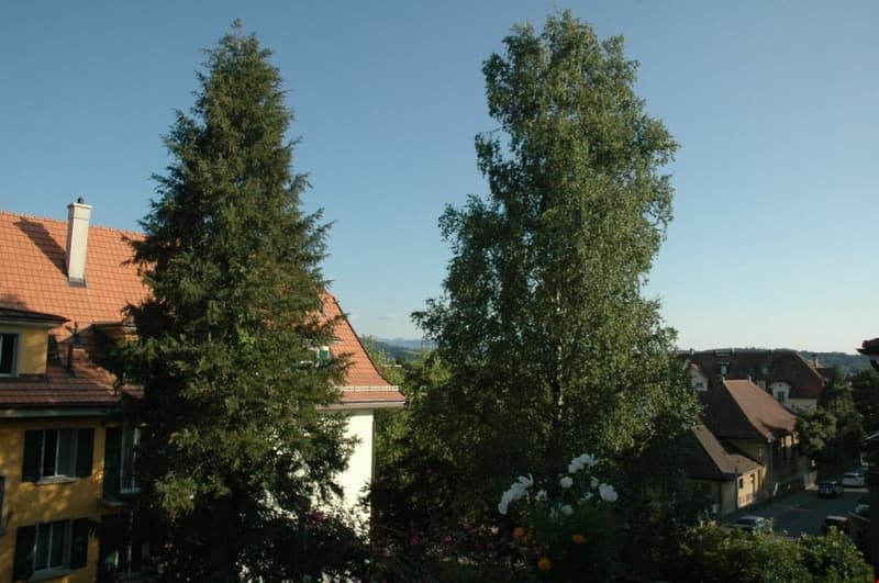 2 1/2-Zimmer-Dachwohnung mit schöner Aussicht (3)