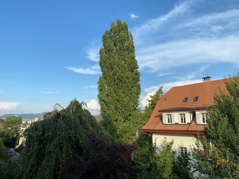2 1/2-Zimmer-Dachwohnung mit schöner Aussicht (14)