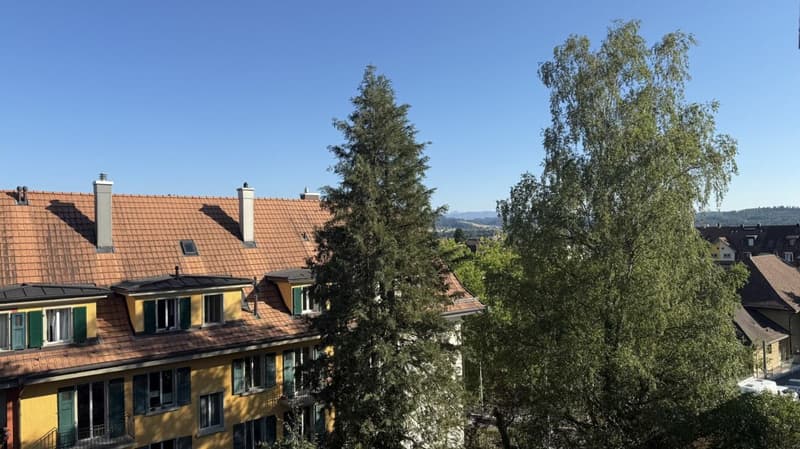 2 1/2-Zimmer-Dachwohnung mit schöner Aussicht (3)