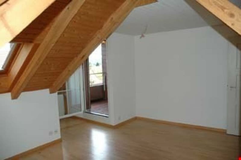 2 1/2-Zimmer-Dachwohnung mit schöner Aussicht (10)