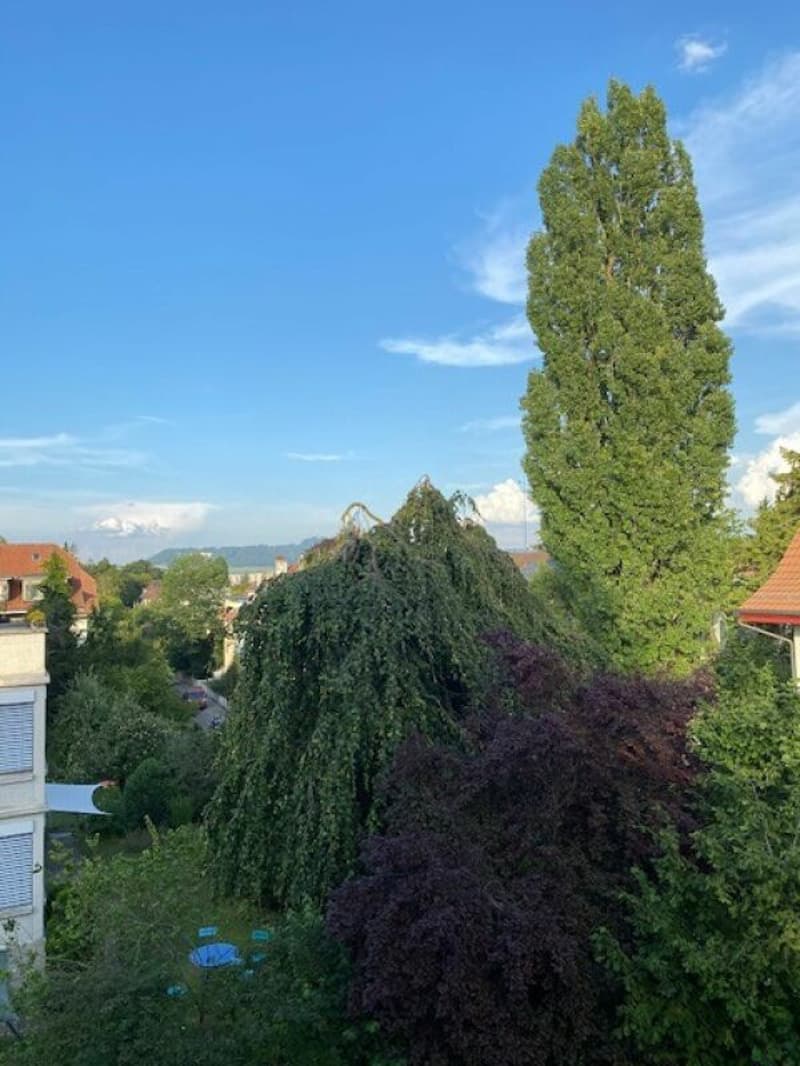 2 1/2-Zimmer-Dachwohnung mit schöner Aussicht (15)