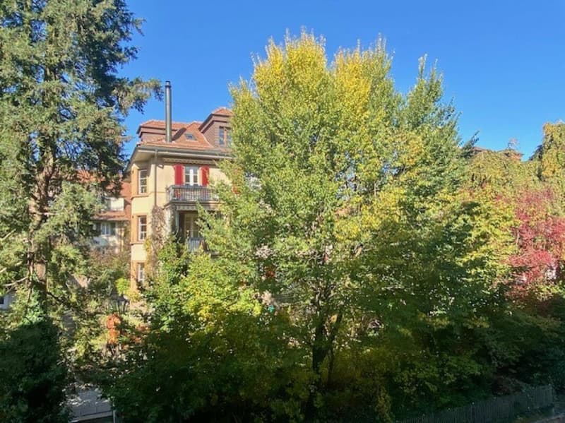 2 1/2-Zimmer-Dachwohnung mit schöner Aussicht (13)