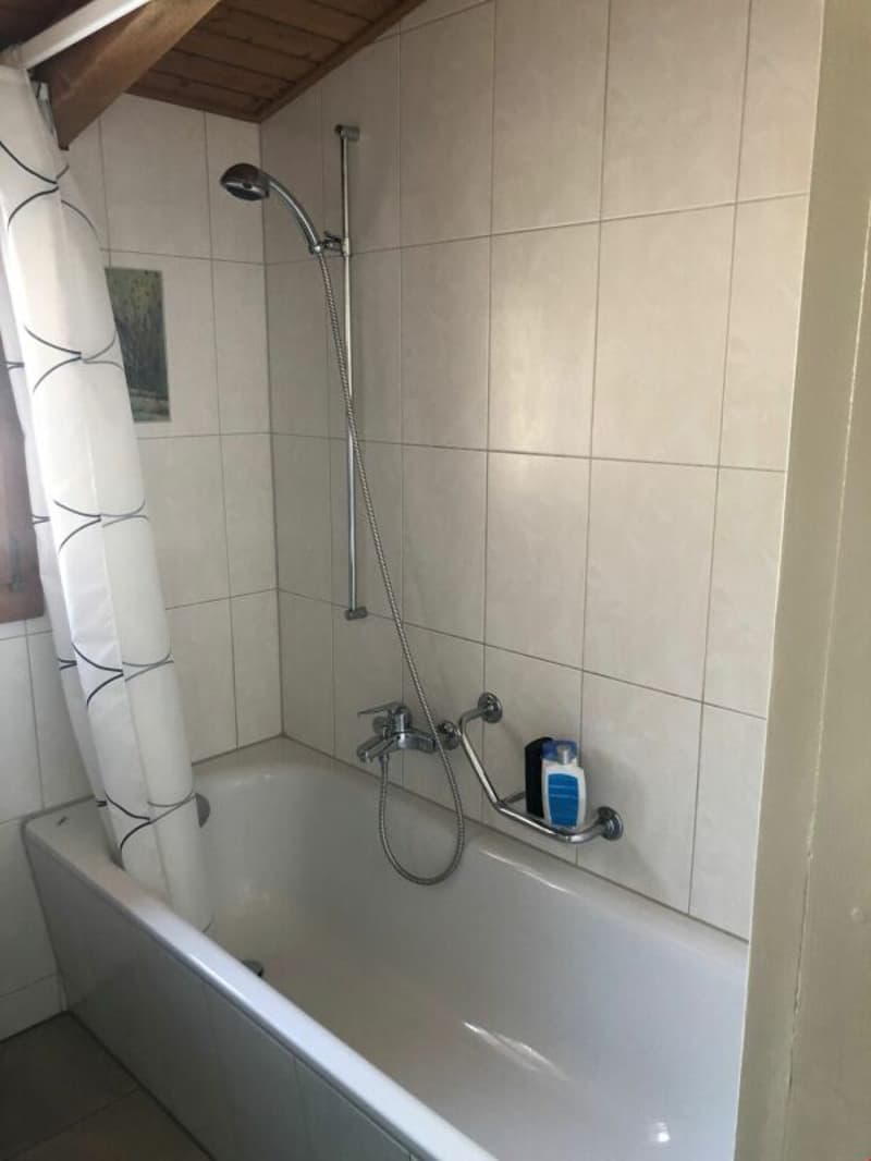 2 1/2-Zimmer-Dachwohnung mit schöner Aussicht (8)
