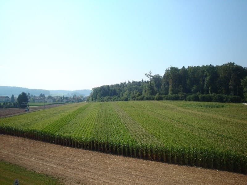 DSC05606.JPG