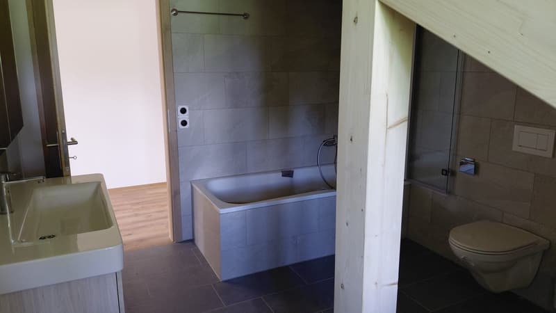 3 1/2 Zimmer Dachwohnung mit Topaussicht auf See und Berge (13)
