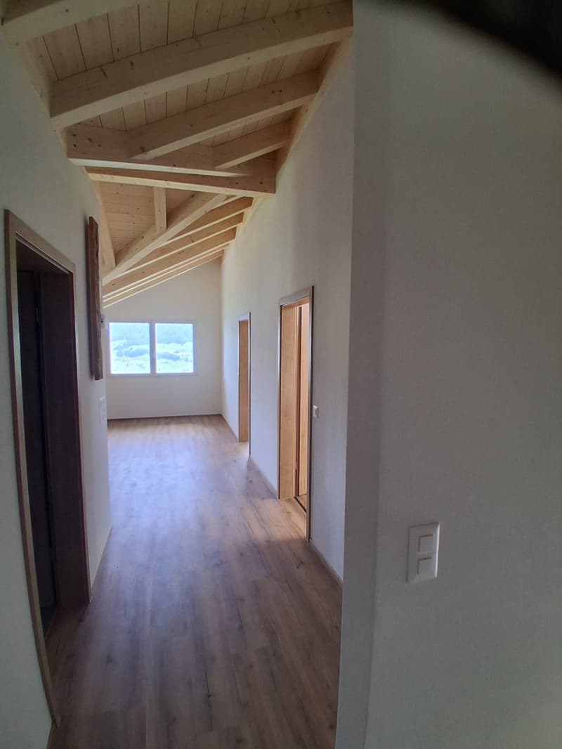 3 1/2 Zimmer Dachwohnung mit Topaussicht auf See und Berge (24)