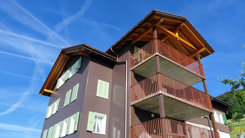 3 1/2 Zimmer Dachwohnung mit Topaussicht auf See und Berge (17)