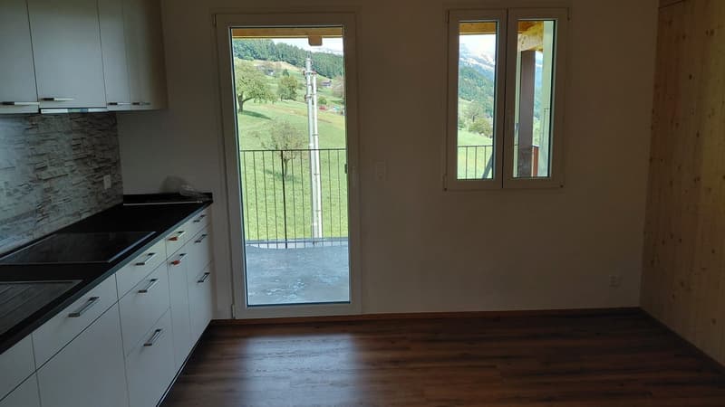 3 1/2 Zimmer Dachwohnung mit Topaussicht auf See und Berge (10)