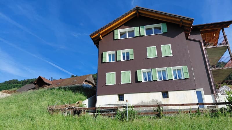 3 1/2 Zimmer Dachwohnung mit Topaussicht auf See und Berge (16)