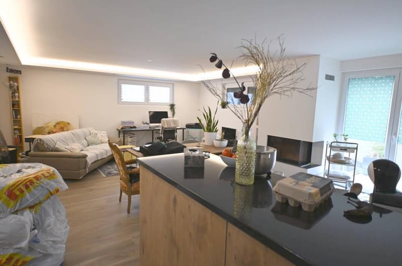 Appartement de 3 pièces & place de parc (3)
