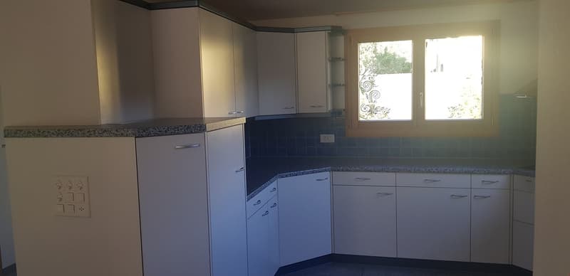 moderne Küche mit Granitabdeckung und grossem Kühlschrank