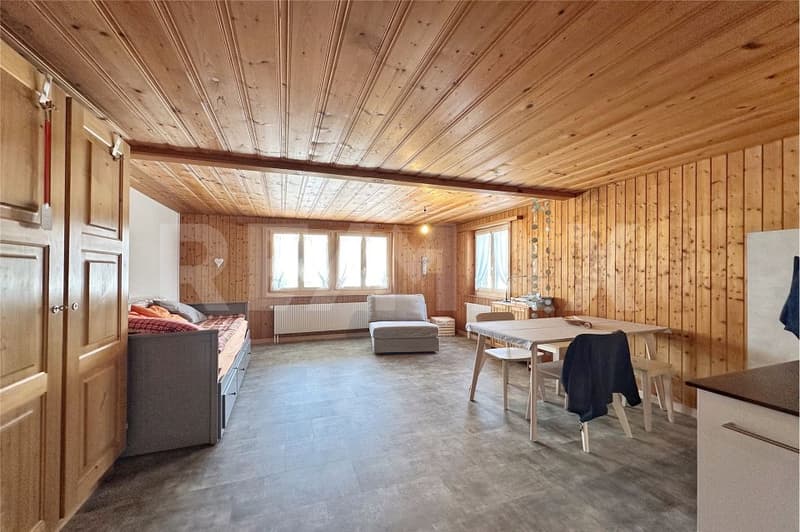 Klein, fein und mit Aussicht - saniertes Studio an ruhiger Lage (5)