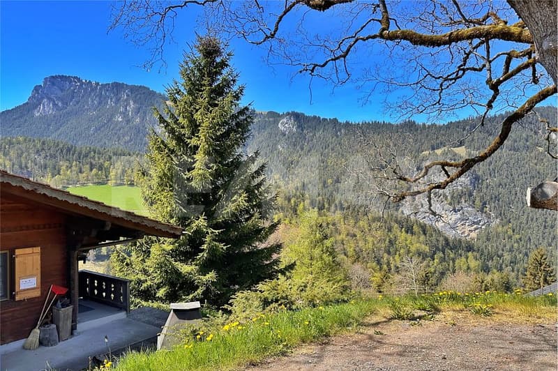 Klein, fein und mit Aussicht - saniertes Studio an ruhiger Lage (12)