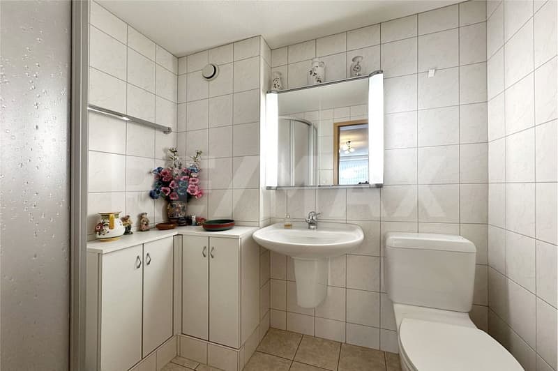 Grosszügig wohnen mit Bergsicht - 2½ Zimmer im Dachgeschoss (10)