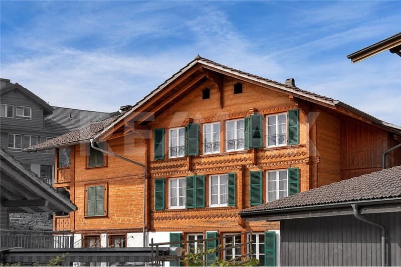 Dreifamilienhaus mit Charme - wohnen, vermieten und investieren (1)