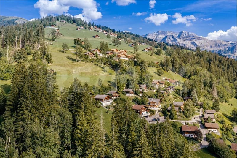 Alpencharme aus Rundholz - Wohnen mit Weitblick an der Lenk (2)