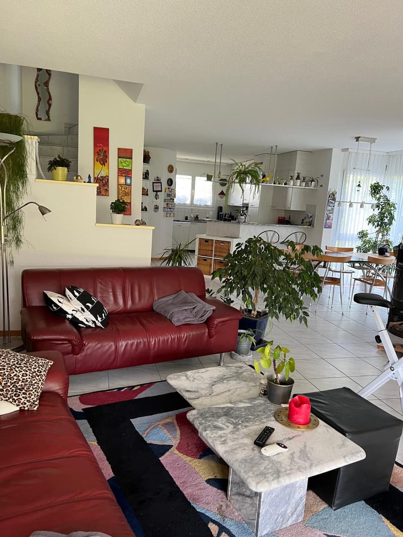 Red leather sofas, marble coffee table, colorful rug, potted plants, dining table, kitchen area, lamps, exercise bike