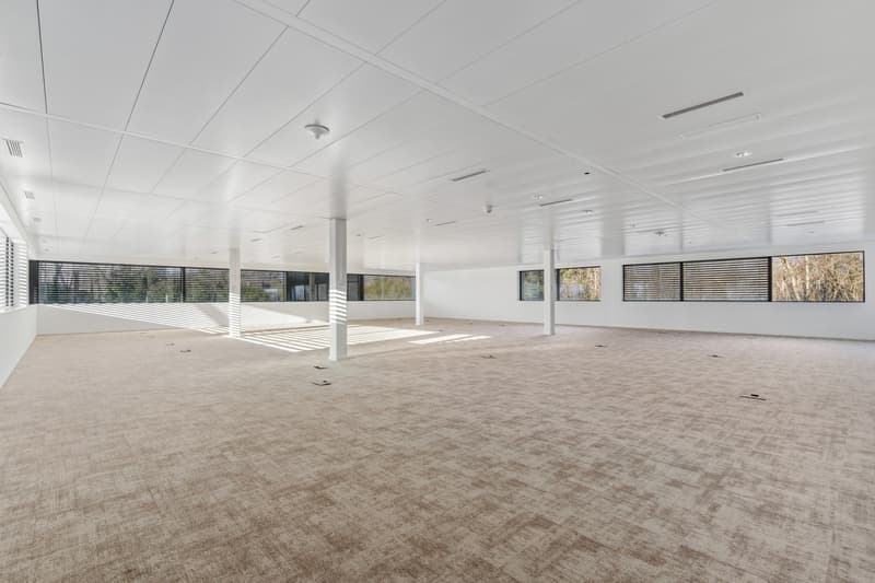 Bureau de 385 m² à louer à Terre Bonne (9)