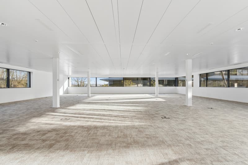 Bureau de 181 m² à louer à Terre Bonne (2)