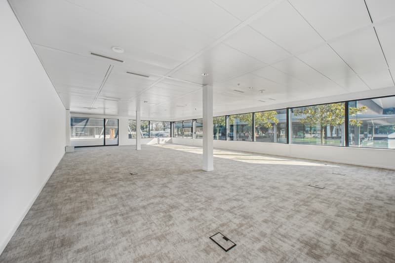 Bureau de 181 m² à louer à Terre Bonne (5)