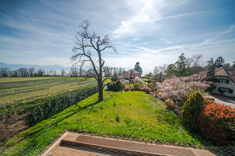 Bureaux d'exception de 605 m2 à Préverenges - CHF 240.-/m2/an (12)