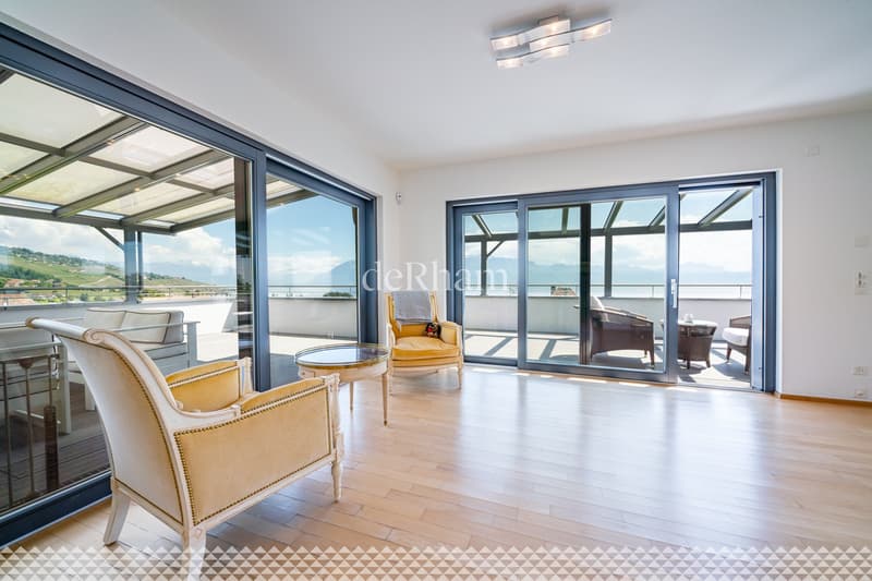 Villa contemporaine de standing avec piscine et vue lac! (3)