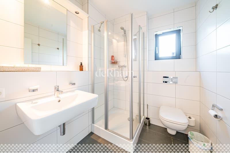 Villa contemporaine de standing avec piscine et vue lac! (4)