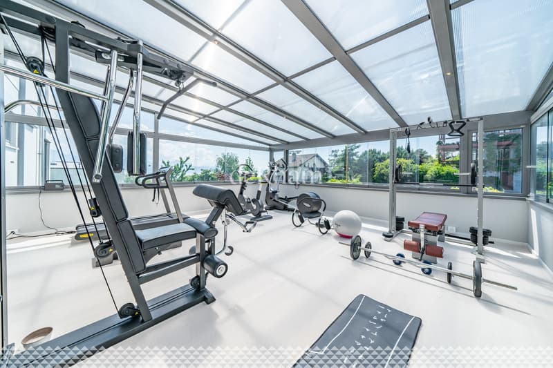 Villa contemporaine de standing avec piscine et vue lac! (11)