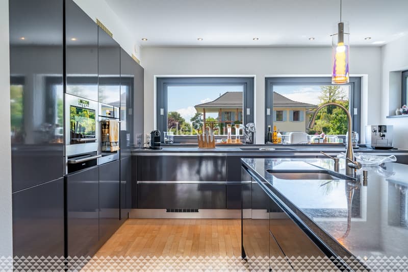 Villa contemporaine de standing avec piscine et vue lac! (2)