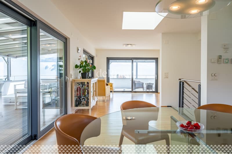 Villa contemporaine de standing avec piscine et vue lac! (7)